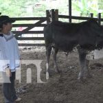 Ministerio de Agropecuario impulsa tecnologías innovadoras en fincas de Matiguás
