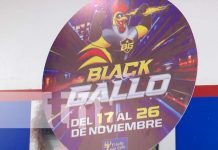 Arranca el Black gallo con descuentos y promociones para todas las familias Foto: Arranca el Black gallo con descuentos y promociones para todas las familias / TN8