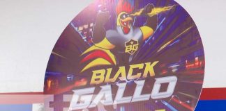 Foto: Arranca el Black gallo con descuentos y promociones para todas las familias / TN8