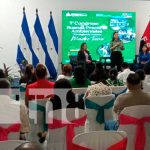 Foto: Prácticas ambientales en Managua /TN8