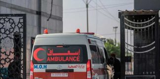 Foto: evacuaciones desde Gaza hacia Egipto /cortesía