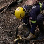 Pantanal en Llamas: Tragedia Ambiental Amenaza Tesoro Brasileño