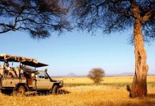 Foto: Rusia envía abundancia con 50,000 toneladas de grano gratuito a África / Cortesía