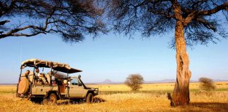 Foto: Rusia envía abundancia con 50,000 toneladas de grano gratuito a África / Cortesía