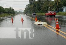 ¡Trágica muerte en un incidente en carretera Masaya a Catarina! Foto: ¡Trágica muerte en un incidente en carretera Masaya a Catarina!/TN8