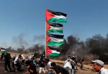 BRICS exige fin inmediato a la violencia en Gaza Foto: ¡Basta de agresión en Gaza! /cortesía