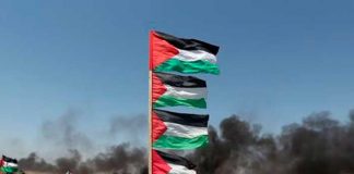Foto: ¡Basta de agresión en Gaza! /cortesía