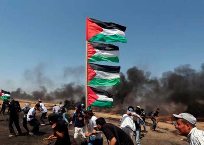 Foto: ¡Basta de agresión en Gaza! /cortesía