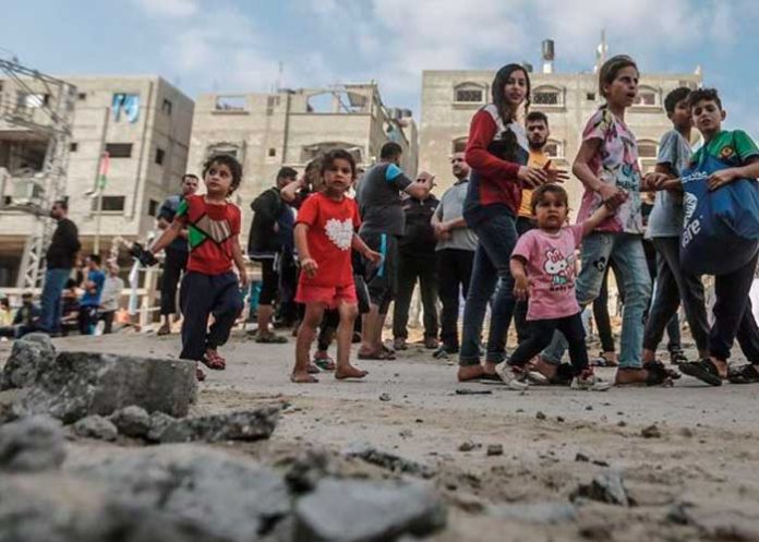 Foto: Paz en Gaza /cortesía