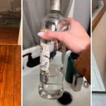 Inocente perrito termina «borracho» luego de tomarse dos botellas de alcohol Foto: Perrito causa sensación en redes /cortesía