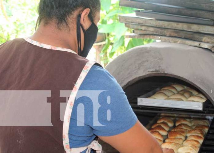 Foto: Gobierno de Nicaragua brinda apoyo a iniciativas productivas en Madriz/Tn8
