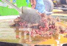 Prepárate para el sopón más grande en la Feria Nacional del Frijol en Nueva Segovia Prepárate para el sopón más grande en la Feria Nacional del Frijol en Nueva Segovia
