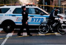 Violencia sin Razón: Trágica Muerte de Abuela en Brooklyn Foto: Violencia sin Razón: Trágica Muerte de Abuela en Brooklyn / Cortesía