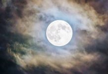 ¡Mágica! La luna llena del castor, la última luna llena de noviembre ¡Mágica! La luna llena del castor, la última luna llena de noviembre