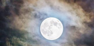 ¡Mágica! La luna llena del castor, la última luna llena de noviembre