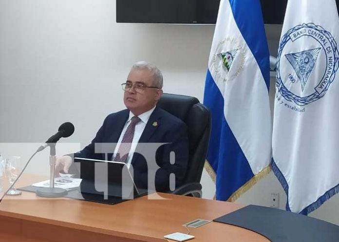 Foto: Producto interno bruto podría cerrar en 4% el 2023 / TN8