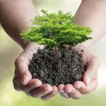 Convención marco de naciones unidas sobre cambio climático (cop 28) Convención marco de naciones unidas sobre cambio climático (cop 28)