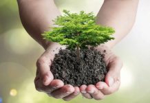 Convención marco de naciones unidas sobre cambio climático (cop 28)