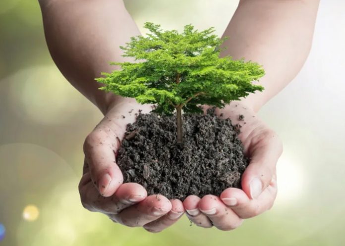 Convención marco de naciones unidas sobre cambio climático (cop 28)