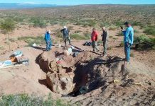 Descubren un dinosaurio saurópodo de 86 millones de años en Argentina Foto: Increíble hallazgo en Argentina /cortesía