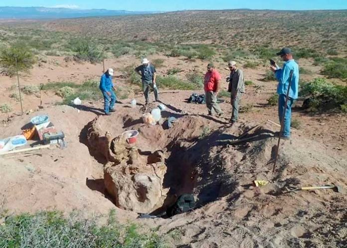 2 Foto: Increíble hallazgo en Argentina /cortesía