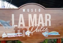 ¡Bello! Nuevo museo «La mar dulce» en Ometepe, conócelo Foto: ¡Bello! Nuevo museo "La mar dulce" en Ometepe, conócelo/TN8