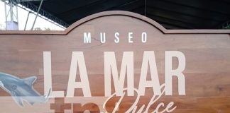 Foto: ¡Bello! Nuevo museo "La mar dulce" en Ometepe, conócelo/TN8