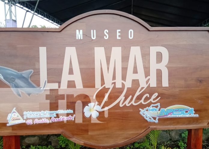 Foto: ¡Bello! Nuevo museo 