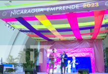 Lanzan concurso para seguir impulsando a emprendedores «Yo Puedo Yo Emprendo» Foto: Lanzan concurso para seguir impulsando a emprendedores "Yo Puedo Yo Emprendo" / TN8