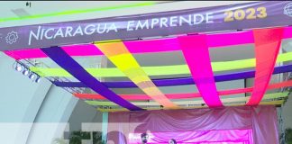 Foto: Lanzan concurso para seguir impulsando a emprendedores "Yo Puedo Yo Emprendo" / TN8