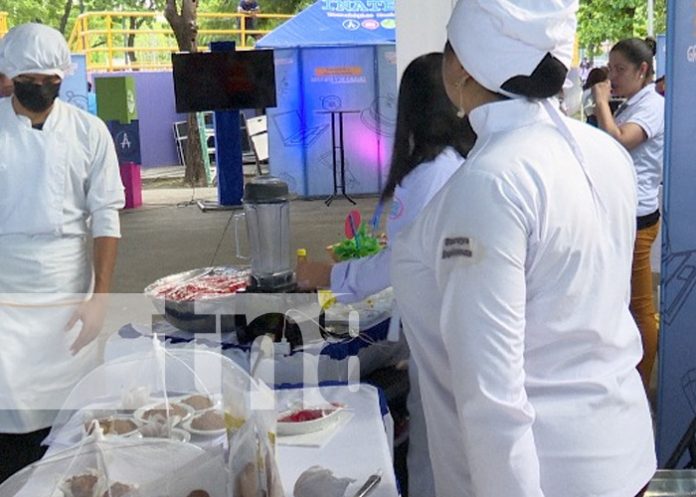 Foto: Explorando la creatividad y calidad educativa a través de 