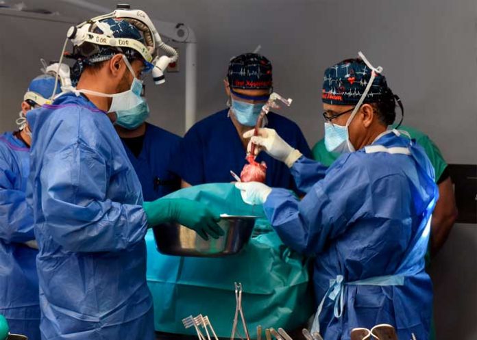 Foto: Hombre muere con un corazón de cerdo /cortesía