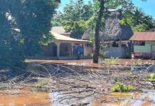 Guatemala Enfrenta Devastación por Lluvias: Más de 4 Millones Afectados y 65 Fallecidos Foto: Guatemala Enfrenta Devastación por Lluvias: Más de 4 Millones Afectados y 65 Fallecidos /Cortesía