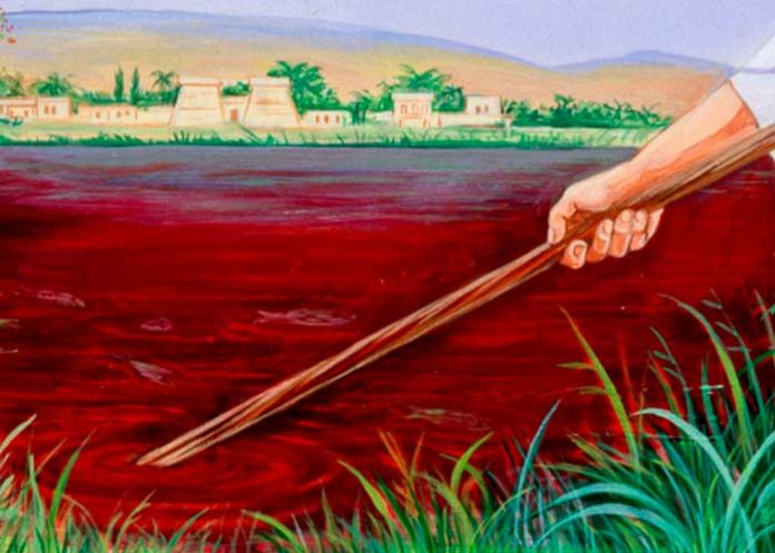 Foto: ¡Imágenes impactantes del río Nilo! Desatan teorías apocalípticas en redes sociales/Cortesía