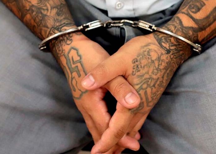 Foto: Líder de la MS-13 Extraditado a EE. UU. por Cargos de Terrorismo / Cortesía