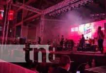 ¡Noche épica! Iconos del Rock, un concierto espectacular para todas las generaciones Foto: ¡Noche épica! Iconos del Rock, un concierto espectacular para todas las generaciones/TN8