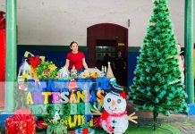 Alcaldía de Jinotega promueve talento artístico navideño Foto: Alcaldía de Jinotega promueve talento artístico navideño / TN8