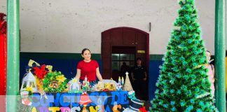 Foto: Alcaldía de Jinotega promueve talento artístico navideño / TN8