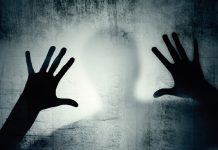 Estudio afirma que ver películas de terror puede ayudar a adelgazar Estudio afirma que ver películas de terror puede ayudar a adelgazar