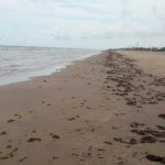 Foto: ¡Horror en EEUU! Encuentran cuerpo desmembrado en playa de Rockaways/Cortesía