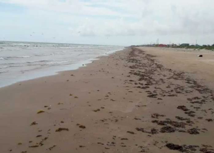 Foto: ¡Horror en EEUU! Encuentran cuerpo desmembrado en playa de Rockaways/Cortesía