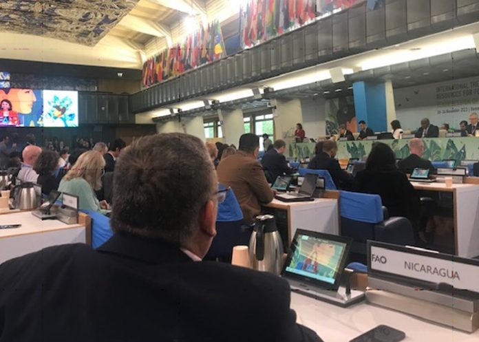 Foto: Reunión mundial sobre el tratado internacional de recursos fitogenéticos /Cortesía