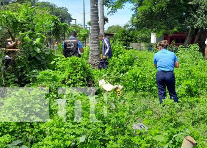 2 Foto: ¡Un coco que le costó la vida! Ciudadano muere al caer de una palmera en Granada/TN8