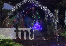 Llega la Navidad a la Isla de Ometepe, instalan luces navideñas Foto: Llega la Navidad a la Isla de Ometepe, instalan luces navideñas / TN8