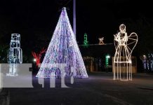 Parques y plazas de Granada cobran vida con las luces de la temporada Parques y plazas de Granada cobran vida con las luces de la temporada