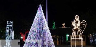 Parques y plazas de Granada cobran vida con las luces de la temporada