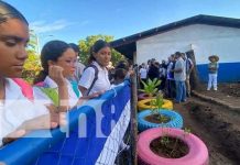 Inaugurado el primer huerto escolar modelo en Nandaime, Nicaragua Inaugurado el primer huerto escolar modelo en Nandaime, Nicaragua