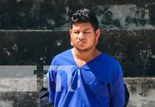 Foto: 100 libras de marihuana incautada y dos detenidos en Nueva Segovia/Tn8Foto: 100 libras de marihuana incautada y dos detenidos en Nueva Segovia/Tn8
