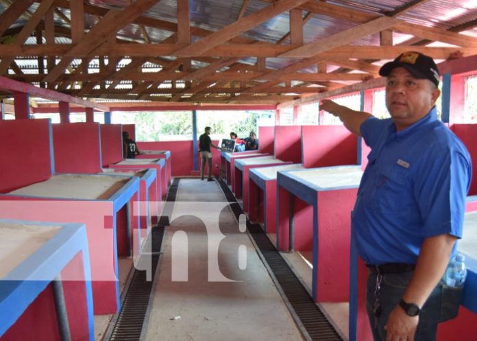 Inauguración del módulo de comercialización de mariscos y tubérculos en Bilwi