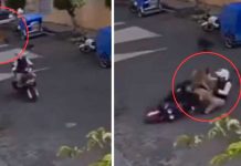 ¡Sin frenos! Perrito saltarín sorprende aterrizando sobre una moto Foto: Inocente perrito salta y aterriza sobre un motociclista /cortesía